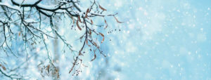 winterlandschaft