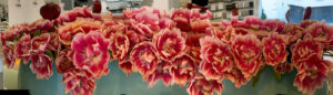 blumen